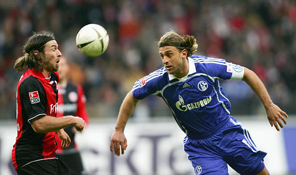 定性明显提 定性明显提