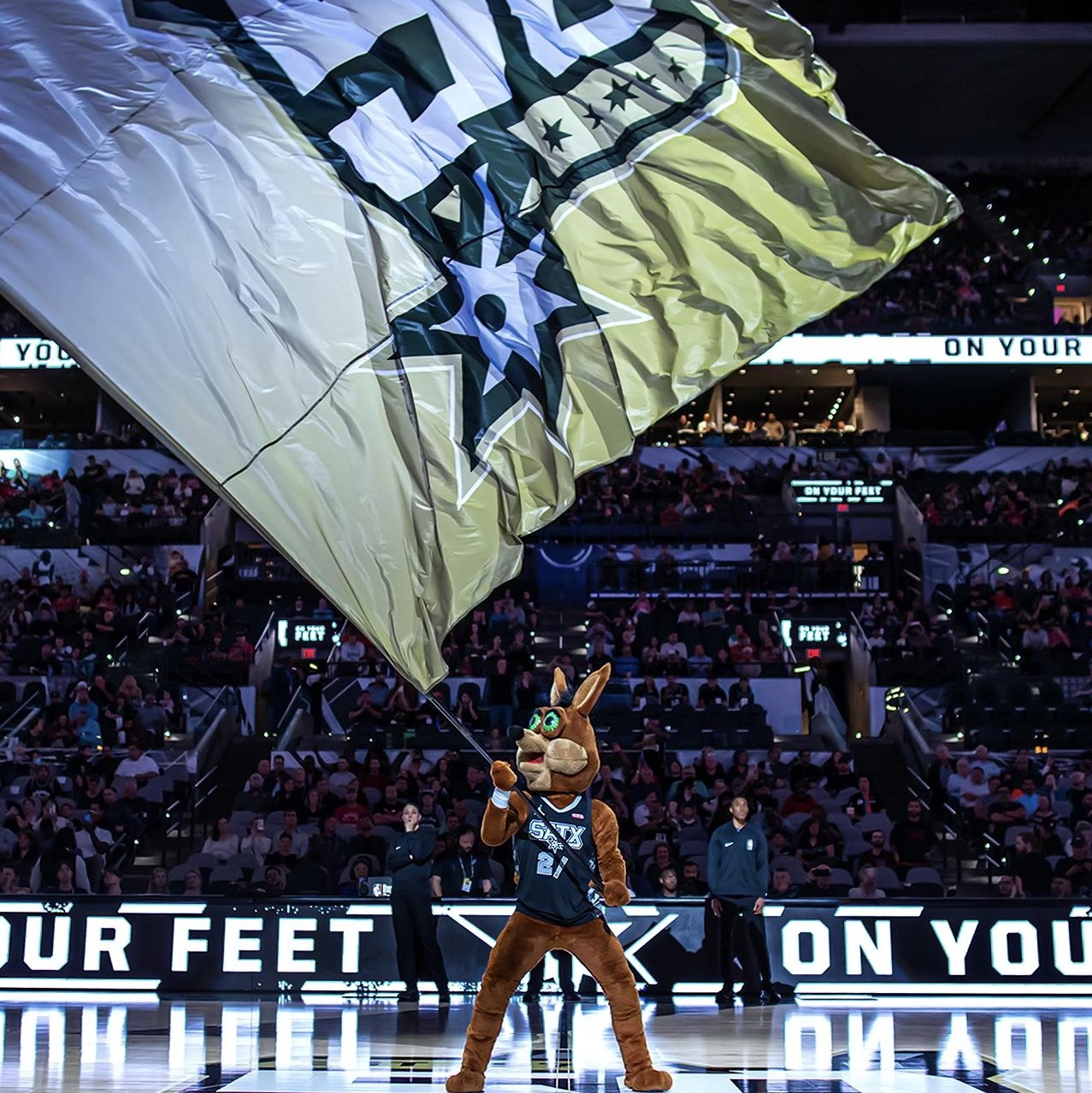 响力毫无疑 响力毫无疑